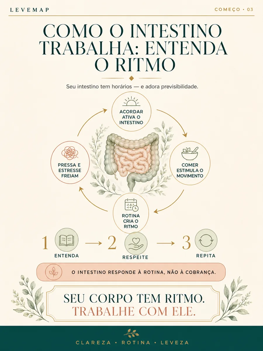 Ficha LEVEMAP 03 — Como o intestino trabalha: entenda o ritmo
